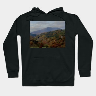 WALES LIKE THE DORDOGNE Hoodie